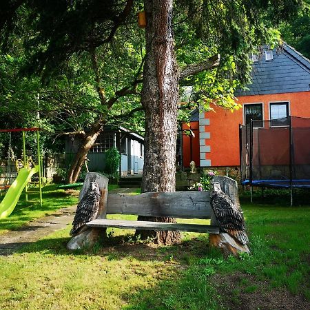 Ferienhaus Franz - An Der Elbe, Mit Grossem Garten Pirna Exterior foto