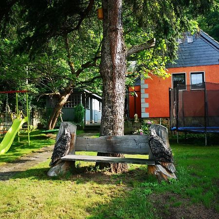 Ferienhaus Franz - An Der Elbe, Mit Grossem Garten Villa Pirna Exterior foto