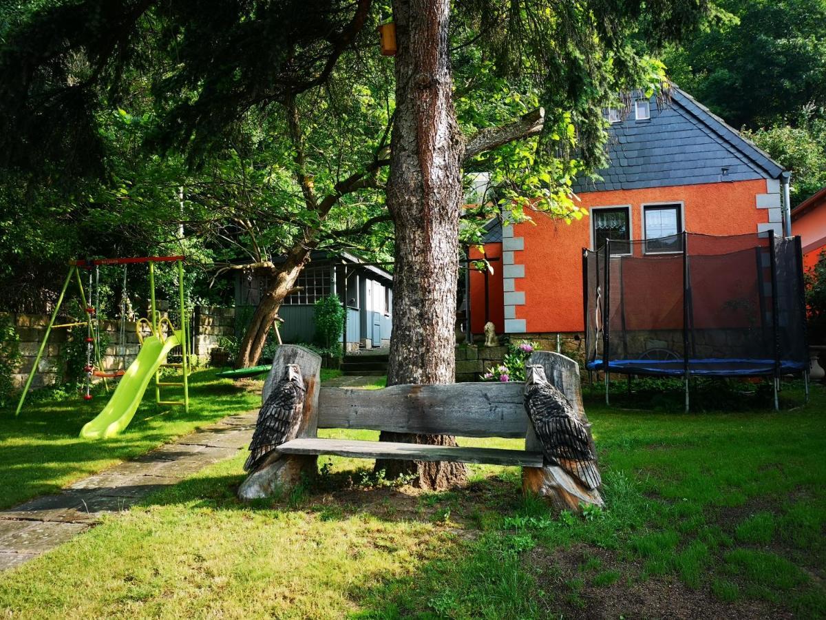 Ferienhaus Franz - An Der Elbe, Mit Grossem Garten Villa Pirna Exterior foto