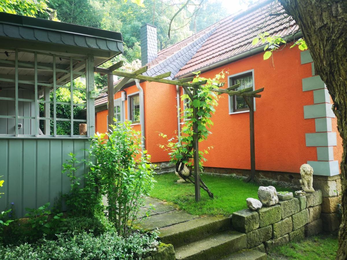 Ferienhaus Franz - An Der Elbe, Mit Grossem Garten Pirna Exterior foto